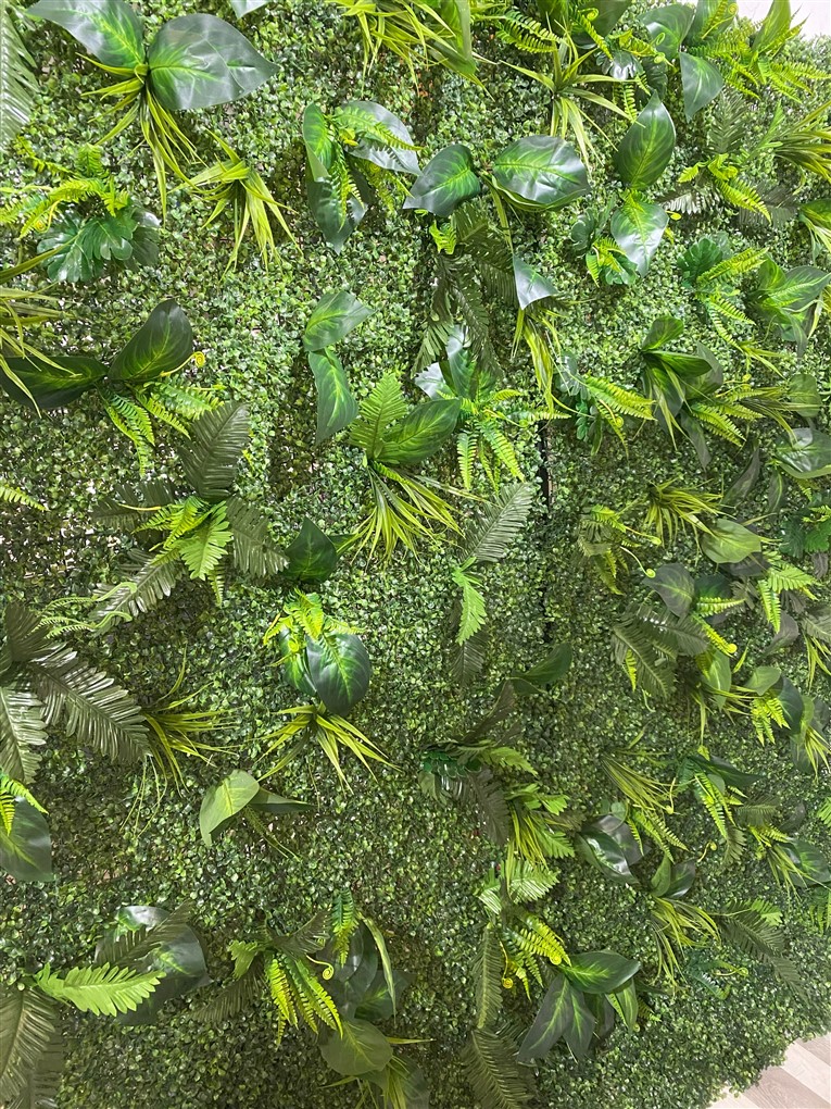 Flower & Green Walls