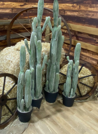 Western Theme Props