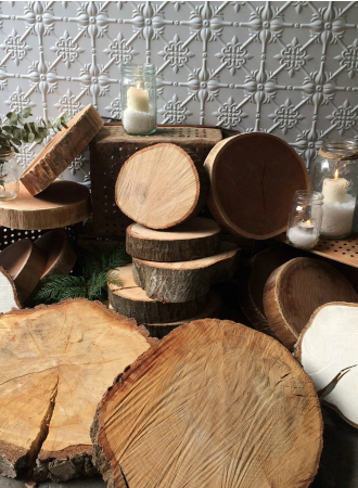 Wood Slices & Logs