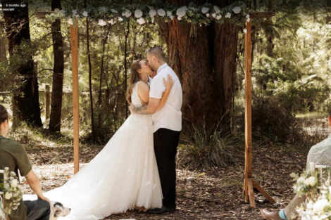 Ladder Arbour