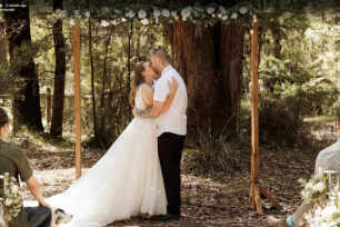 Ladder Arbour