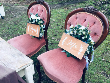 Dusty Pink Chairs