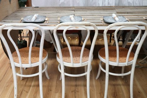 Rustic Bentwood Chairs