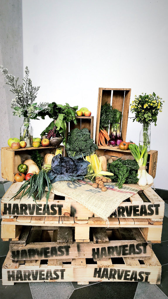 Rustic Fruit Box Wooden Fruit Box - Melbourne Prop Hire | Country Charm Event Hire