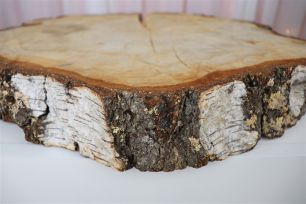 Wood Tree Discs - Rough Birch