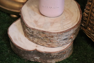 Wood Tree Disc - Smooth Birch