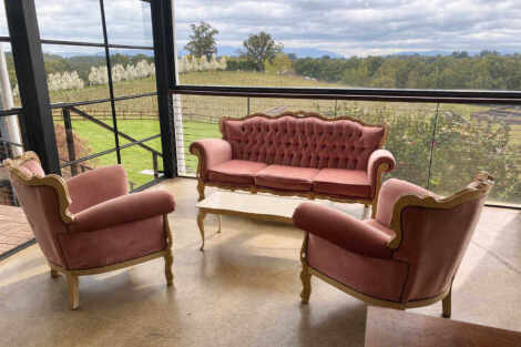 Dusty Pink Vintage Couch 4 Piece Package