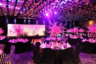 White Curtain Backdrop w/ Fairy Lights - 9m x 3m