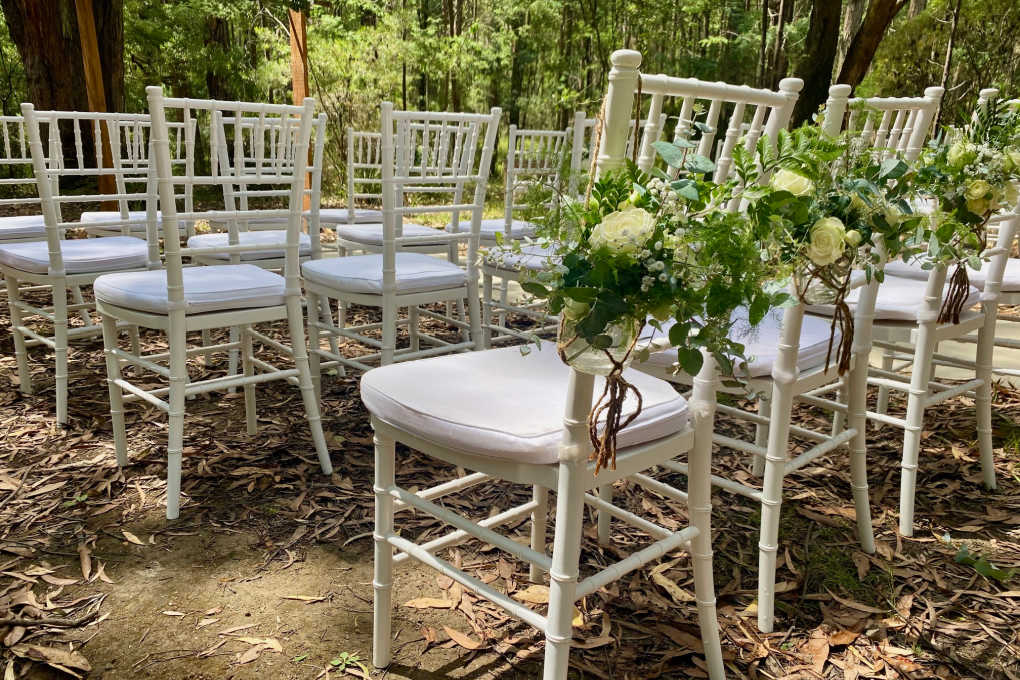 Decorative Chair Fancy Wedding Chairs Hire White Tiffany Chairs