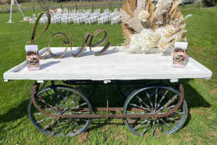 White Vintage Market Cart