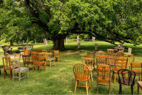 Mix Matched Wooden Chairs