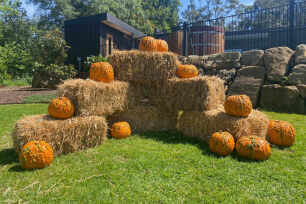 Hay Bale Package - Medium (35)
