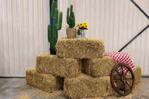 Hay Bale Package - Small (20)