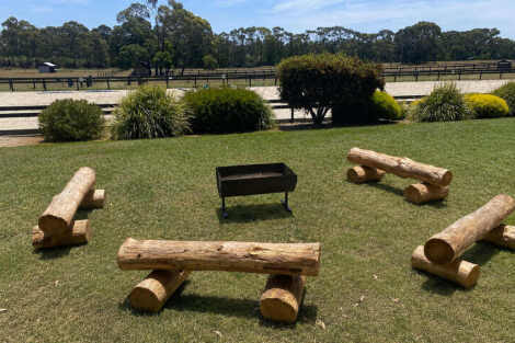 Wooden Log Seats