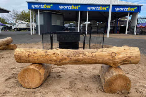 Wooden Log Seats