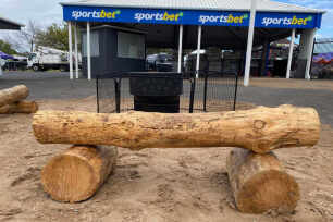 Wooden Log Seats