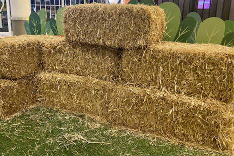 Farm Party Essentials - Large