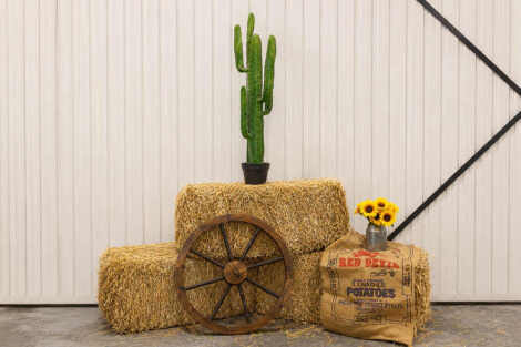 Wooden Wagon Wheel - 60cm