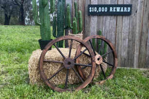Wooden Vintage Wagon Wheel