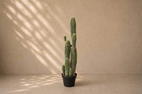Saguaro Cactus (M) - 91cm