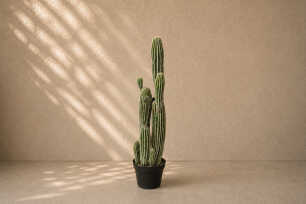 Saguaro Cactus (M) - 91cm