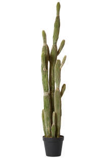 Artificial Cactus Saguaro - 152cm