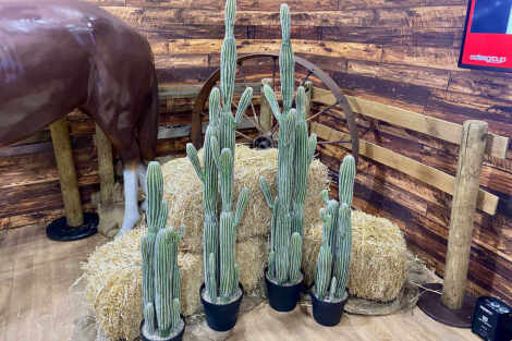 Saguaro Cactus (L) - 152cm