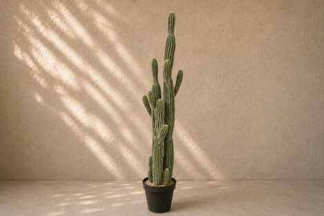 Saguaro Cactus (L) - 152cm