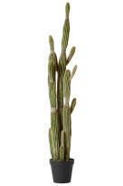 Artificial Cactus Saguaro - 152cm