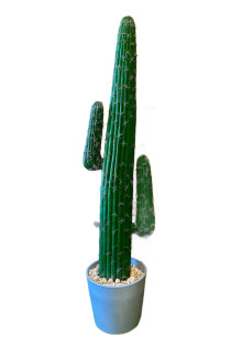 Mexican Cactus - 150cm