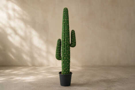Mexican Cactus (L) - 150cm