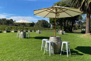Wine Barrel + Beige Umbrella