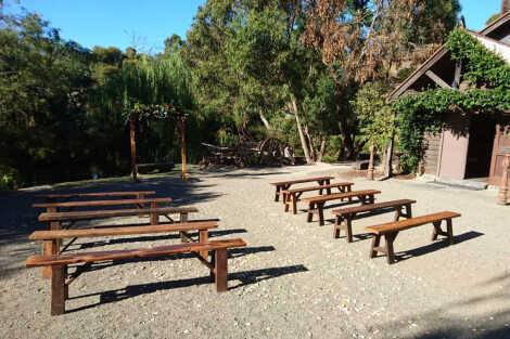 Rustic Timber Bench