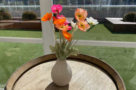 Potted Poppy Floral Arrangement