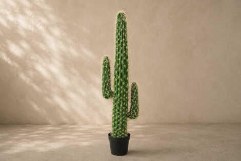 Arizona Cactus (L) - 150cm