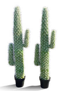 Arizona Cactus - 150cm