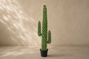 Arizona Cactus (L) - 150cm