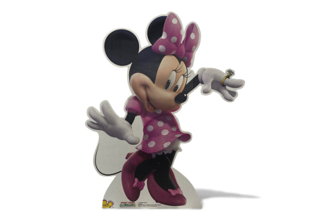 Minnie Mouse Backdrop Package