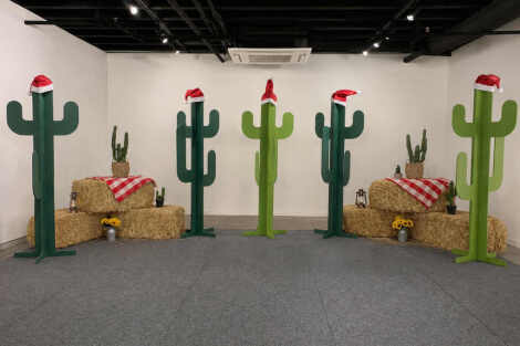 Wooden Cactus Package - 7 Piece