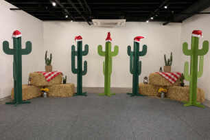 Wooden Cactus Package - 7 Piece