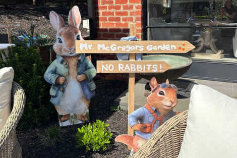 Peter Rabbit Cutout Package - 6 Piece