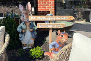 Peter Rabbit Cutout Package - 6 Piece