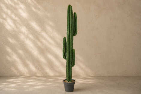 Desert Cactus (L) 156cm