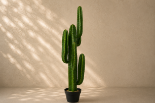Desert Cactus (M) 115cm
