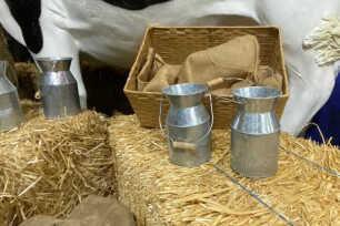 Rustic Milk Tin (No flowers)