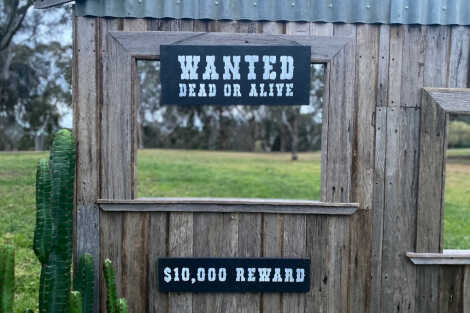 Western Theme Backdrop