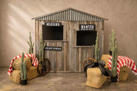 Western Theme Backdrop