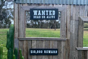 Western Theme Backdrop