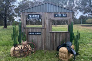 Western Theme Backdrop