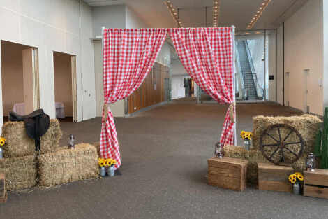 Western Chequered Curtains